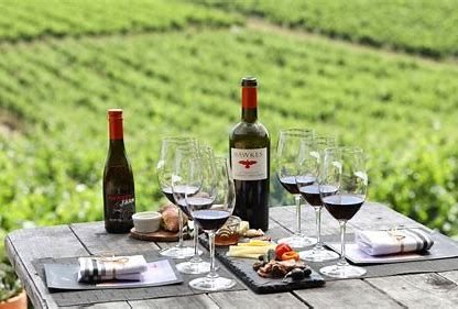 Wine tours Adelaide – Discover the Flavours of South Australia