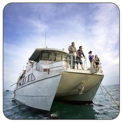 Darwin is the top fishing spot in Australia; why is it so?